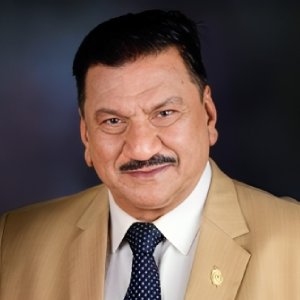 Second Vice District Governor